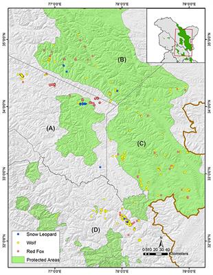 Feeding Patterns of Three Widespread Carnivores—The Wolf, Snow Leopard, and Red Fox—in the Trans-Himalayan Landscape of India